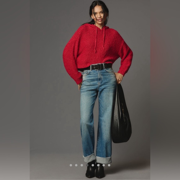 NWT Anthropologie Pilcro Sailcloth Hooded Sweater - Picture 2 of 9